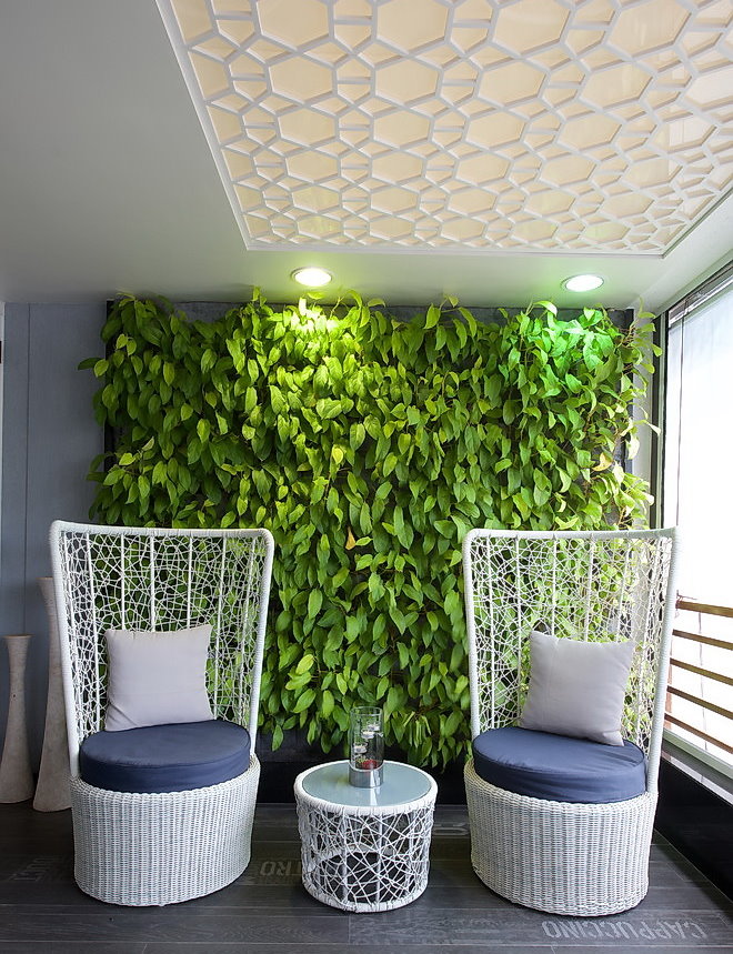 Phytostall de plantes ombragées à l'intérieur de l'appartement