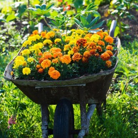 Mobile flowerbed from a garden car