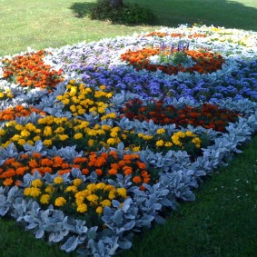 Beautiful flower garden from annual plants