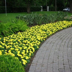 Yellow black man in a recreation park