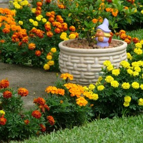 Large plastic flowerpot