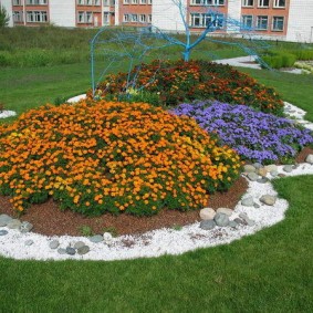 Flower bed in kindergarten