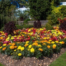 Flower design at a summer cottage