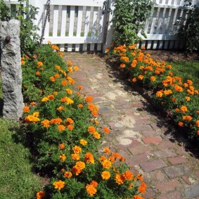 Path in the front garden of the cottage