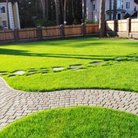 Garden lawn on a plot with a wooden fence