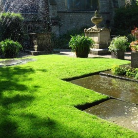 Watering the lawn in sunny weather