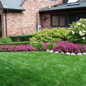 Park lawn in front of a flower bed