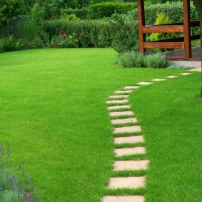 Narrow cement tile walkway