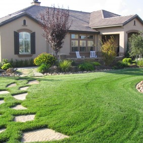 Path through the lawn to a residential building