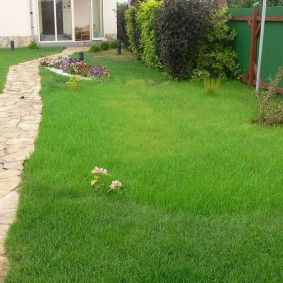 Rubble stone garden path