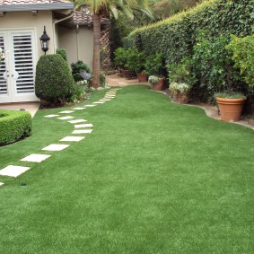 Small lawn in a summer cottage