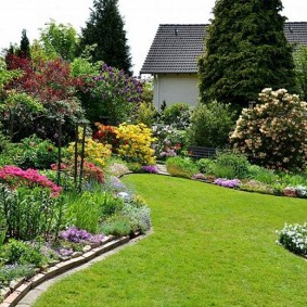 Mixborder in the garden landscape