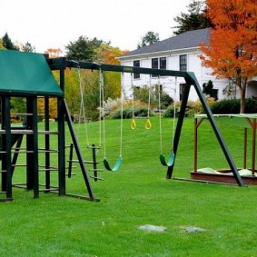 Green grass under a children's swing