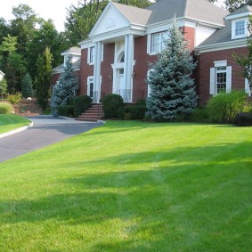 Asphalt road to the front door of a country house