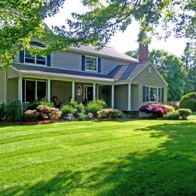 Multi-purpose lawn on tall trees