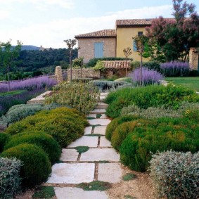 Dalles de béton sur un chemin de jardin