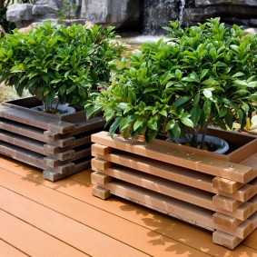 Parterres de fleurs pour plantes en planches minces