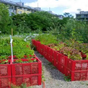 Lits de jardin à partir de boîtes en plastique