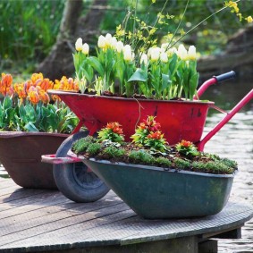 Lits de jardin de vieilles brouettes