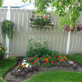 Parterre de fleurs soigné avec des fleurs annuelles