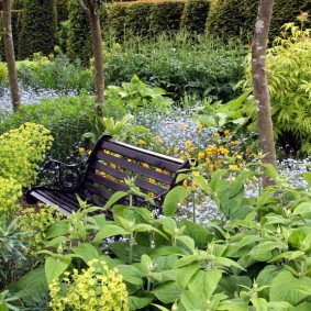 Wooden bench in the overgrown garden