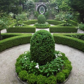 Sheared Shrubs in an English Style Garden