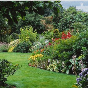 Green lawn among shrubs and trees