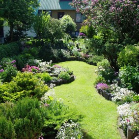 An abundance of flowering shrubs in a mixed-style garden