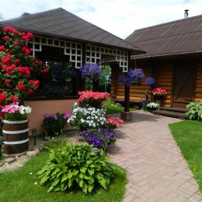 Climbing roses on a garden gazebo