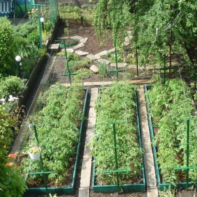 Neat beds in a small area