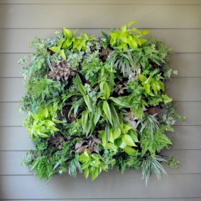 Mélange de fleurs d'intérieur sur le mur avec revêtement