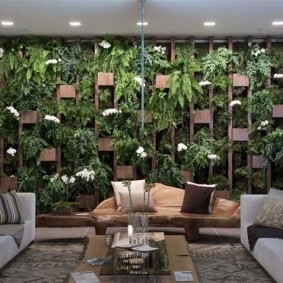 Étagère avec des plantes vivantes dans le salon