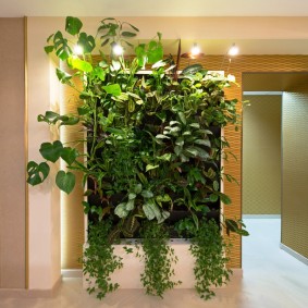 Conception de couloir avec des plantes d'intérieur