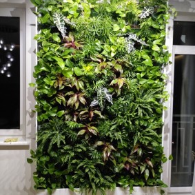 Rack vertical avec plantes en pot