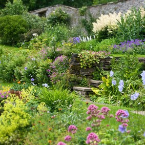 Paysage de jardin de style naturel