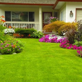 Herbe au sol avec de l'herbe verte