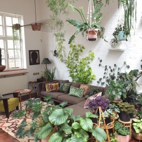 Jardin d'hiver à l'intérieur du salon