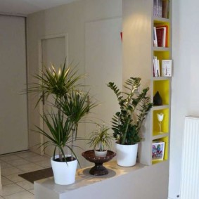 Place pour les plantes vivantes dans le couloir de l'appartement