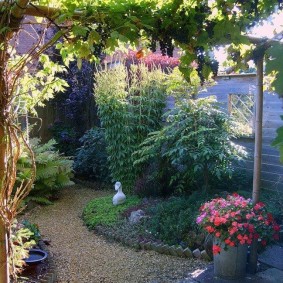 Patio on a small plot