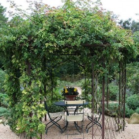 Climbing pergola