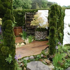 Vertical gardening with moss