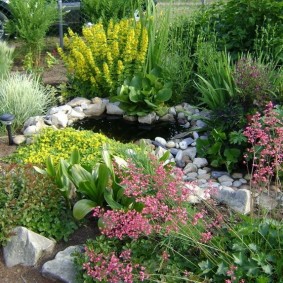 Flowering perennials around a small pond