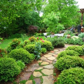 Flat Stone Garden Path