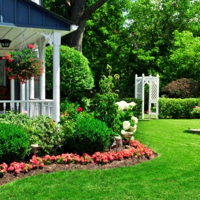 English lawn in the garden landscape