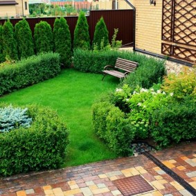 Borders from ornamental shrubs in front of the facade of the cottage