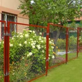 Hortensia fleurissant des panicules blanches