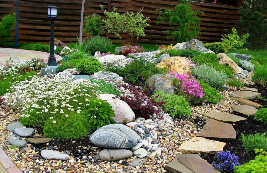 Toboggan alpin avec des plantes à fleurs