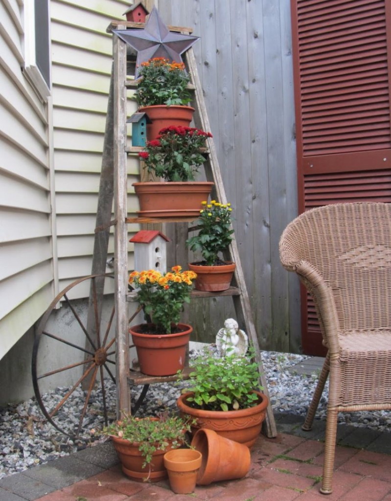 Pots de fleurs sur les marches d'un escabeau en bois