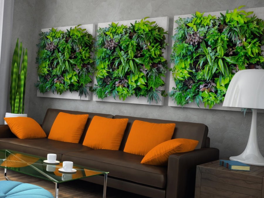 Mur de décoration de plantes vivantes au-dessus du canapé