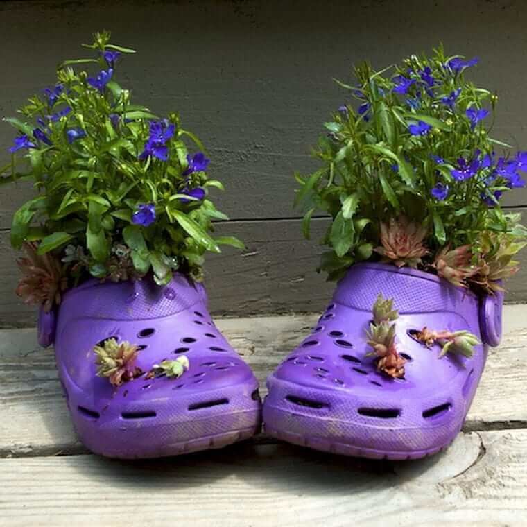 Fleurs de jardin dans de vieux galoches